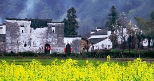 ���߻ƻ�����Դ��ɫ