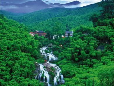 鸬鸟蜜梨园区赏花,中午在周边农家乐用餐,下午游玩山沟沟景区(汤坑