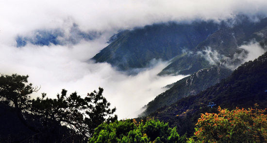 九江庐山 体验险峰激昂(2)