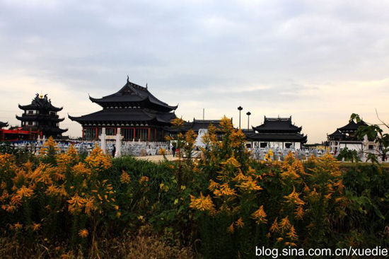 访江阴悟空寺 发现唐代高僧舍利的地方