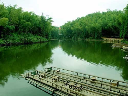 春日自驾安吉 竹林沧海有酒家(组图)