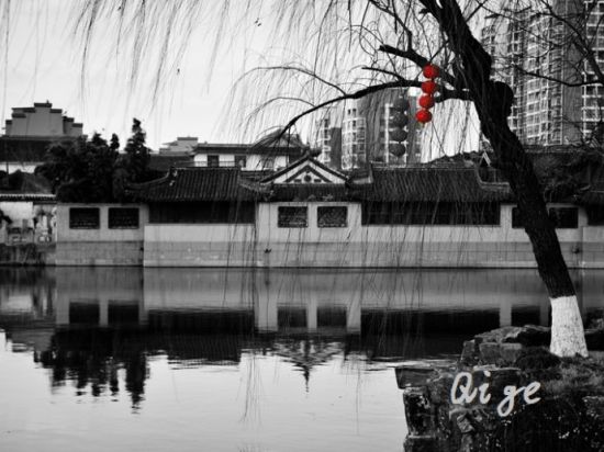 美丽如皋 魅力如皋