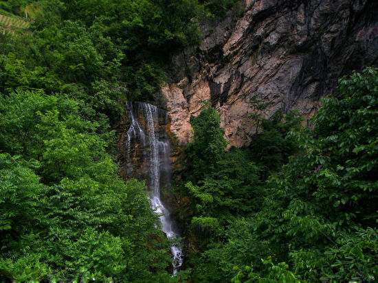 湖北神龍架空氣清新地