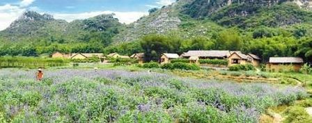 中国长寿之乡:广东怀集世外桃源村_新浪旅游_新浪网