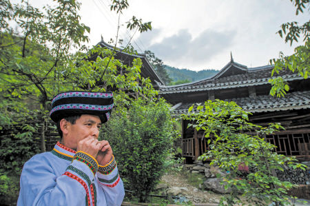 苗家姑娘节黑米饭飘香千年