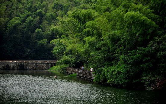 横溪石塘竹海 南京小九寨沟