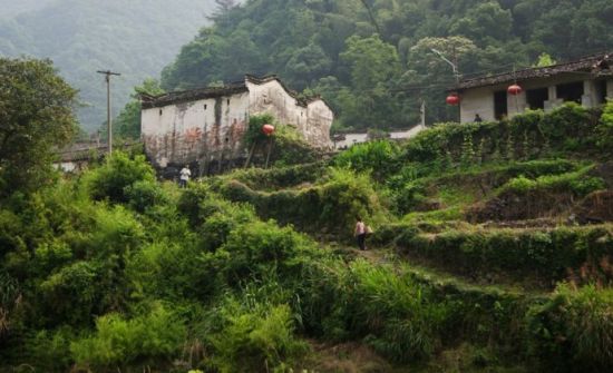 玩什么:身临白石岭美景,漫步古村落,呼吸山水之乡新鲜空气.