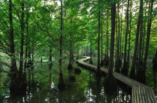 畅游南京将军山 生态旅游好去处