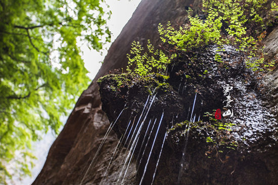 欣赏幽潭美丽风景 品尝山间不老泉水