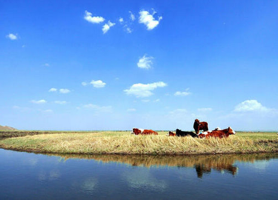 暑期自驾游 盘点张家口风情各异的大草原