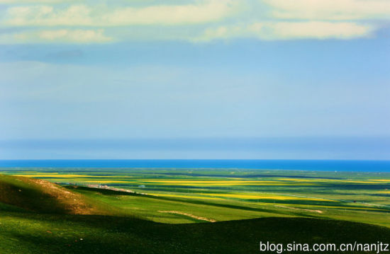 看苍茫大地充满生机