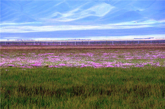 花湖花湖风景区