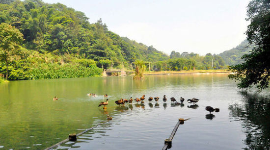 告别空调漫游山水 广东五大最凉快的城市