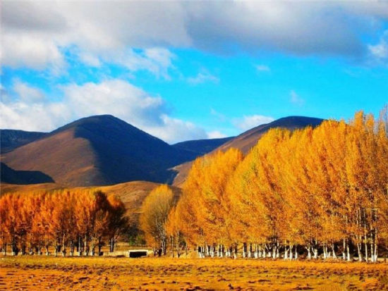 国内最美十大县城 四川稻城县