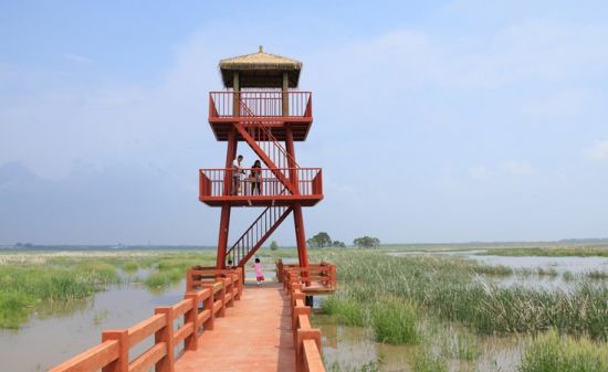 呼兰河口湿地