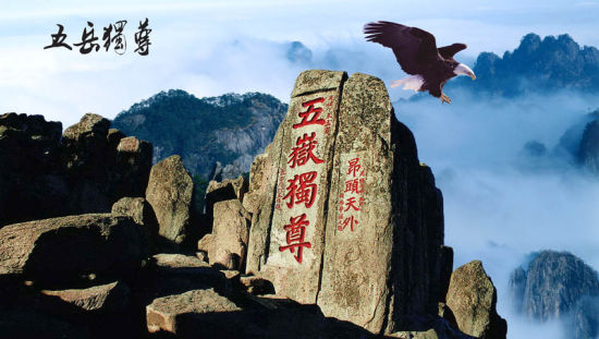 图片版权归原作者所有