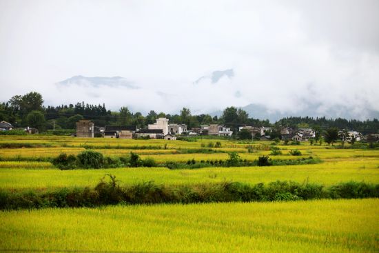 不到皖南山水田间,怎知秋色如许?