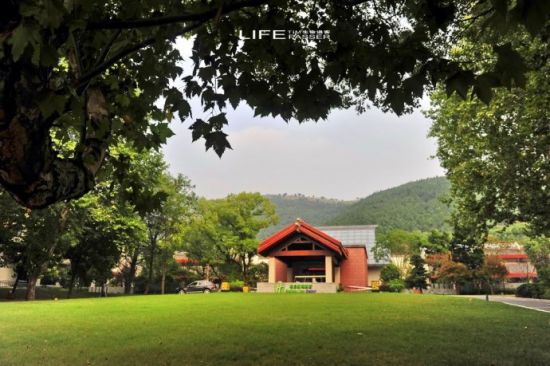 安徽巢湖 骑行在鲜花开放的田野上