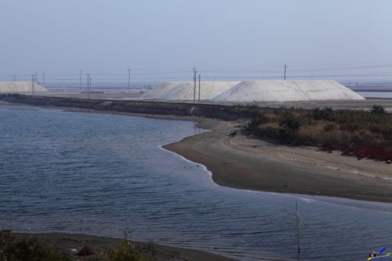 寿光市有多少人口_寿光市地图(3)