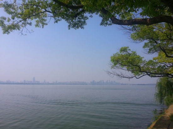东湖生态旅游风景区面积88平方公里,由听涛,磨山,落雁,吹笛和湖北省