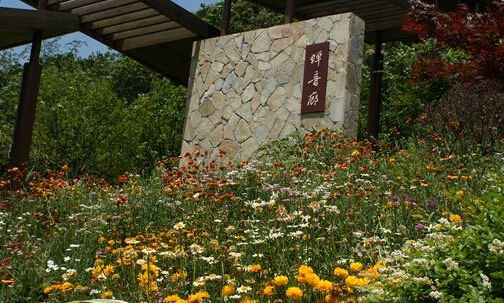 宝界山林公园