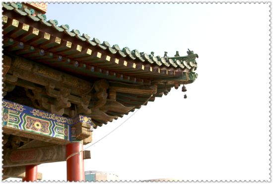 犘(DƬ/W(wng)ѡ(zhn)Ş8̖)