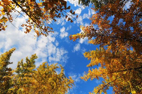 色迷云南,冬季一路向南来这里