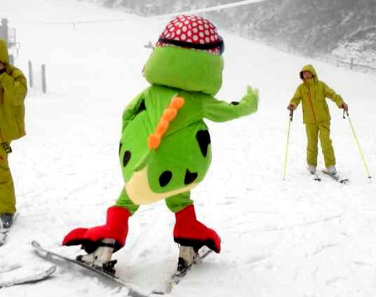 西安沣峪高山滑雪场2014-2015雪季开业