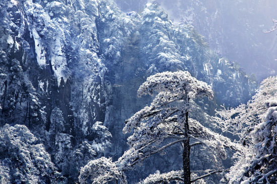 旅游提示 交通:火车或飞机到黄山,然后坐公交或打的去黄山风景区。 住宿: 山上酒店价冬季会优惠些。 门票:黄山冬游的时段为每年12月1日至次年2月28日止,在此期间,黄山风景门票价格由230元/人优惠至150元/人。 美食:黄山炖鸽、清炖马蹄鳖、花菇田鸡、无为熏鸡、问政山笋,这些都是经典的徽菜;除此之外有臭鳜鱼、毛豆腐、蟹壳黄、苞芦松、绩溪菜糕等当地风味小吃。
