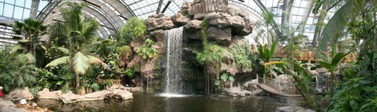 是亚洲室内建筑面积最大的热带植物观光园