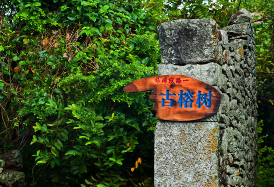 海南最美乡村 澄迈火山岩上的罗驿长寿村(3)