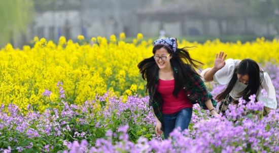 春季必去婺源看油菜花海的七个理由(组图)