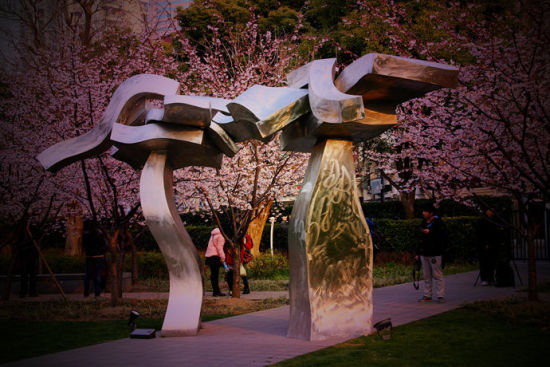 从静安公园到青海路 上海闹市区的赏花之旅