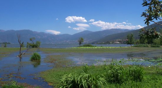 四川湿地合集 邛海湿地收费也不虚嘛