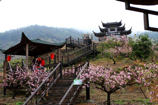 宁海东山桃花节