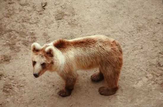 黑龙江8大治愈系旅行地 心痛疗伤好去处