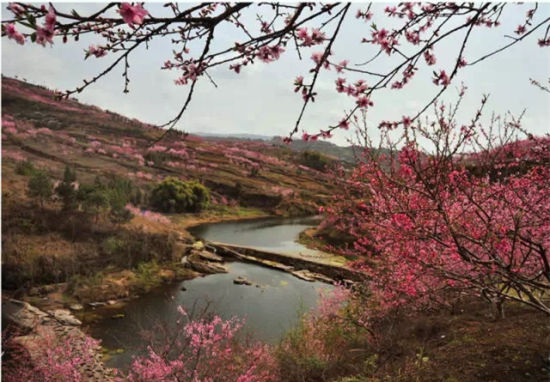 春暖3月，到桃花佳地碰出桃花運(yùn)！