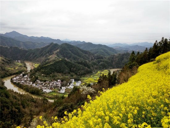 春游歙县 醉心于石潭村的油菜花海