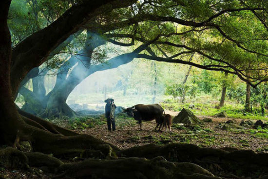 袖珍植物园的奇特景观