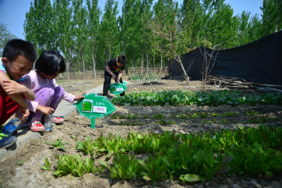 周良生态旅游节开幕 小长假可体验田园风情