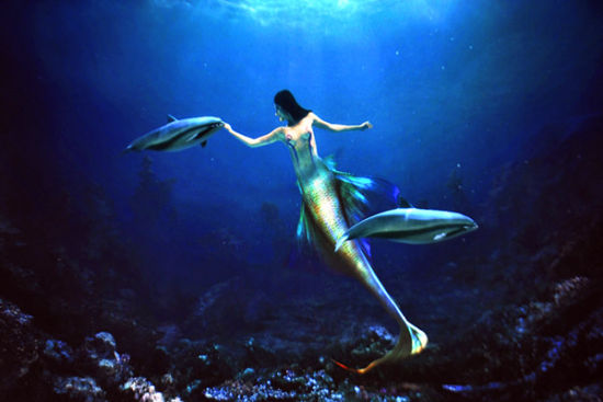 比极地还妙的大连海洋极地馆_新浪旅游_新浪网