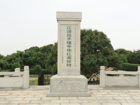 怡情夏日高州赏荔 摘一树核小肉厚白糖罂(2)