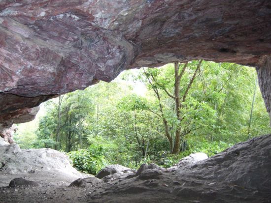 —四明山地质公园    周边旅游:仰天湖,丹山赤水,鹁鸪岩    四窗岩