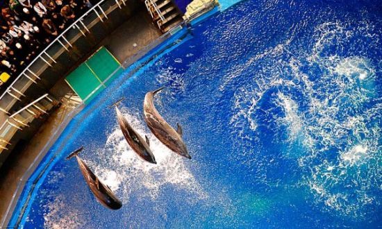 欢乐儿童节 带着宝贝出游吧