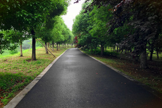 夏日游就要动起来 合肥周边运动好去处