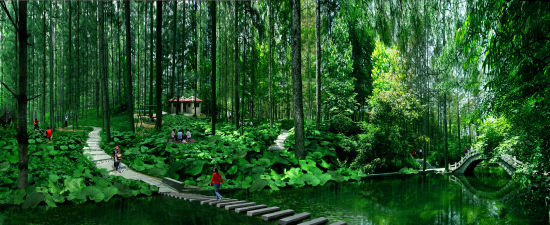 尽情放粽 与白云山约“惠”端午_新浪旅游_新浪网