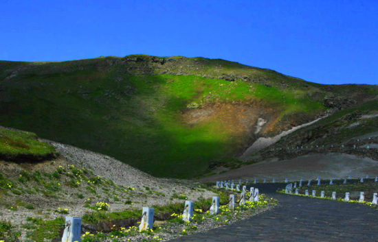 到长白山来感受爱情的风