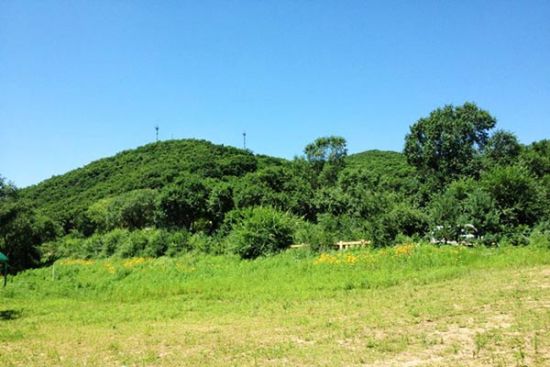 路边景色