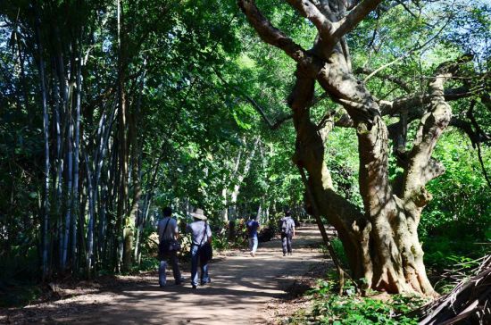 漫步海南文昌葫芦村 迷失在田园风情中