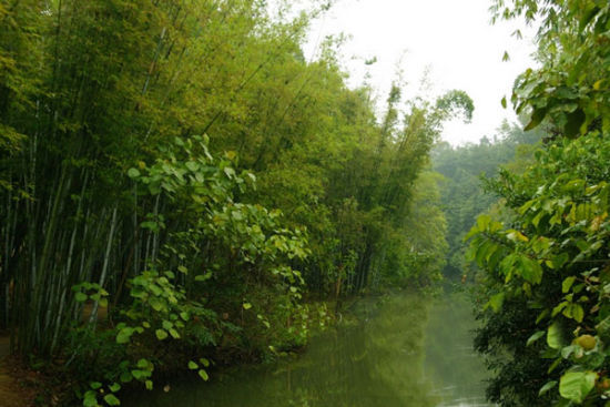 细数南宁周边清凉度爆表的地方